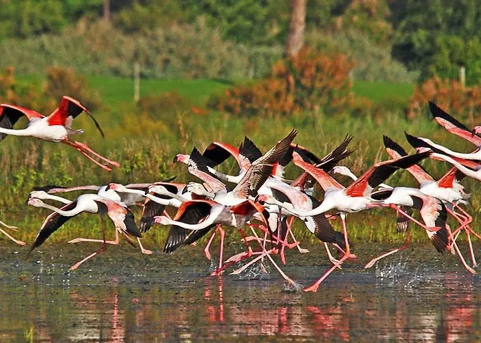 Modern Retreat 700m From The - Salgados アパート *